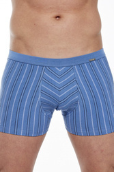 Bokserki  majtki męskie VARIOUS Mini 228/130