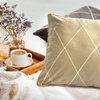 POSZEWKA DEKORACYJNA PIERRE CARDIN MARGO 45X45 CM STALOWY