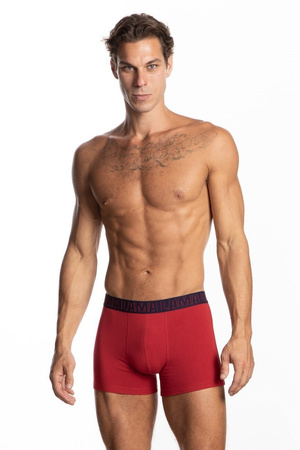 Bokserki majtki męskie  M-1053 SZG 2P