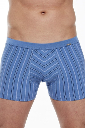 Bokserki  majtki męskie VARIOUS Mini 228/130