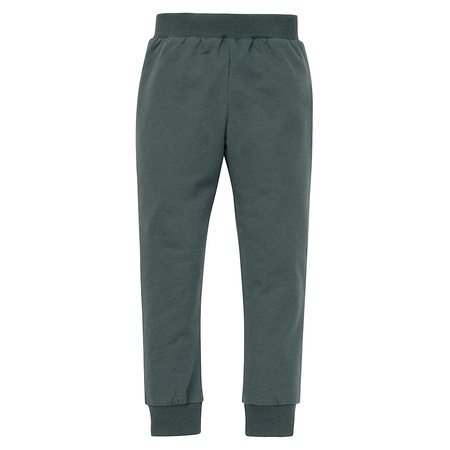 Leginsy LE TIGRE zielony 128