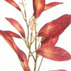 KWIAT NATU 453 69 CM BORDOWY