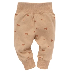 LEGINSY WOODEN PONY 62 BRAZ DRUK