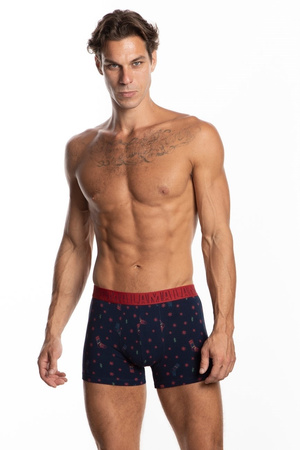 Bokserki majtki męskie  M-1053 SZG 2P