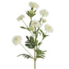 KWIAT NATU 427 82 CM KREMOWY
