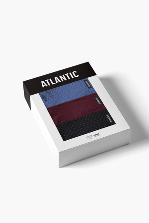 Slipy majtki męskie 3MP-179 3P