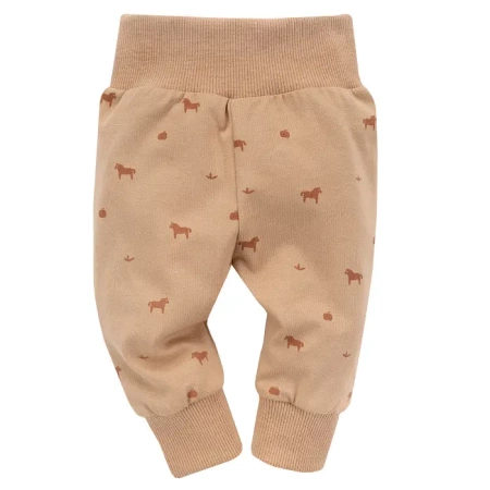 LEGINSY WOODEN PONY 68 BRAZ DRUK