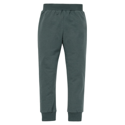 Leginsy LE TIGRE zielony 128