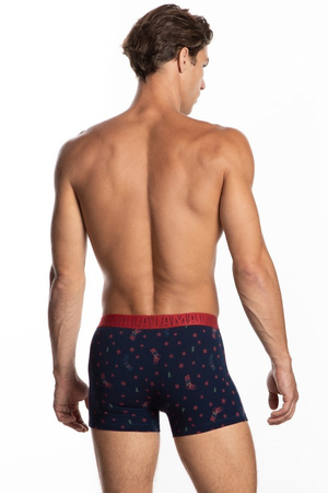 Bokserki majtki męskie  M-1053 SZG 2P