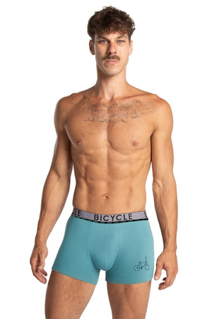 Bokserki M 1064 SZG 2p