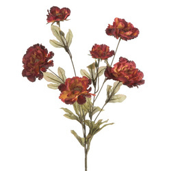 KWIAT NATU 454 85 CM BORDOWY