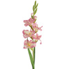 KWIAT NATU 447 85 CM FIOLETOWY