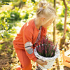 Bluza rozpinana ruda Ewa klucze Adventure