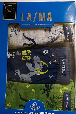 Slipy chłopięce B 223 SD 3-pack