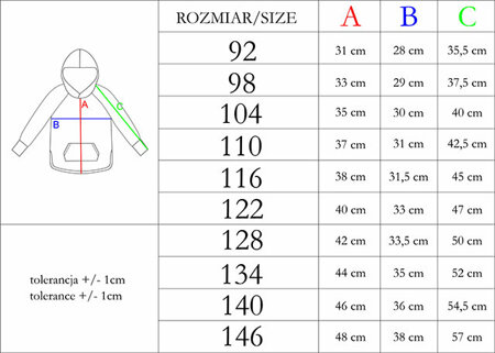 Bluza dla chłopca z długim rękawem Nicol Teddy  