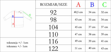 Bluza dla chłopca z długim rękawem niebieska Nicol Teddy  